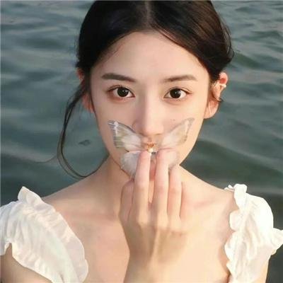 骚狐狸